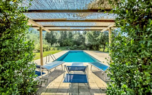 Charming villa with swimming pool for sale in Camaiore