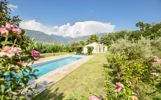 Charming villa with swimming pool for sale in Camaiore