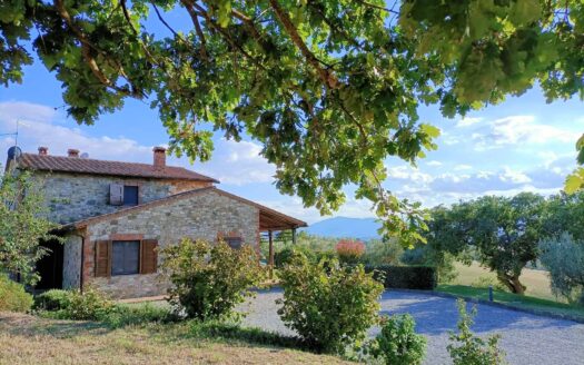 Splendid farmhouse with outbuilding and swimming pool in Castiglione del Lago