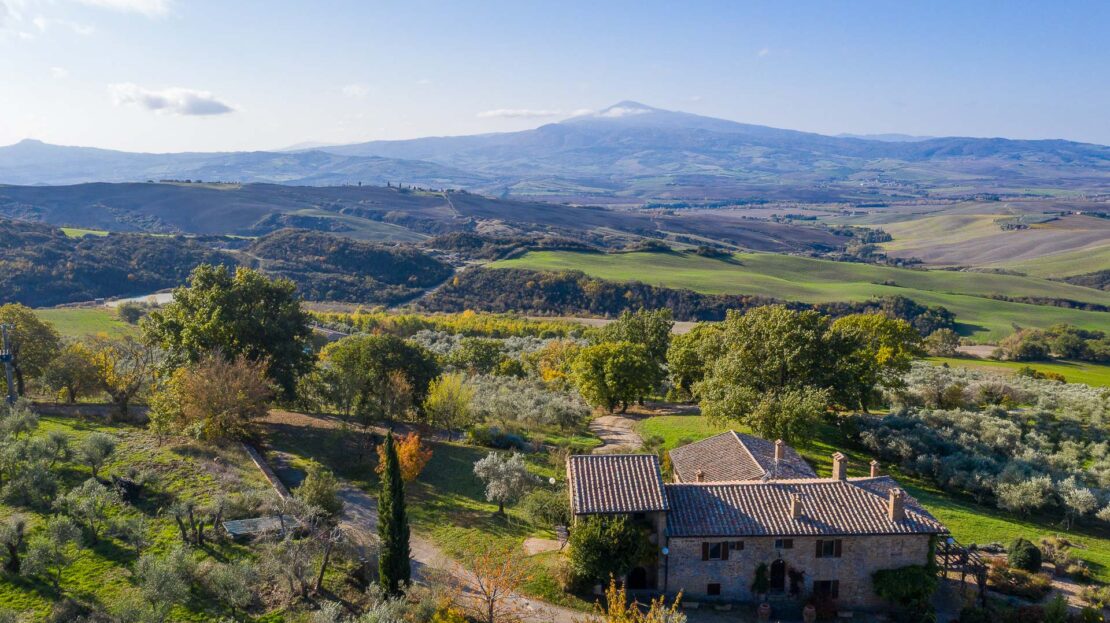 video image