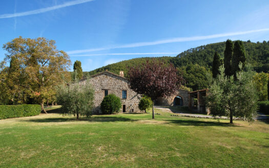 Enchanting farm in the Val D’Orcia