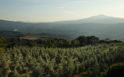 Typical Tuscan country house on the Orcia valley