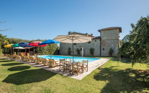 Ancient 1400s farmhouse with swimming pool and land
