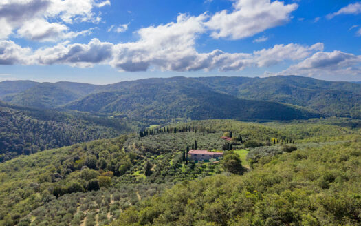 For sale spectacular property with pool in Pergine Valdarno