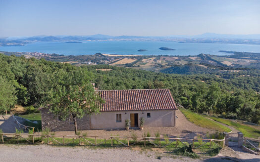 Beautiful villa with swimming pool and lake view