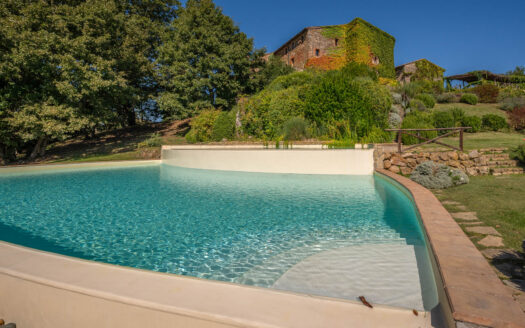 Enchanting property with park and double swimming pool