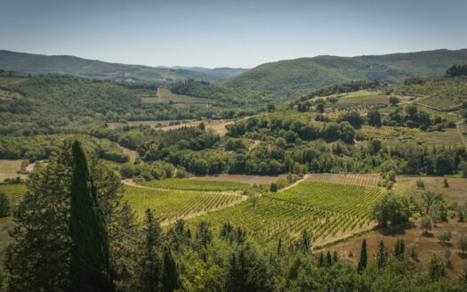 Incredible property in the Chianti hills