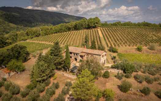 Wonderful winery in the heart of Chianti