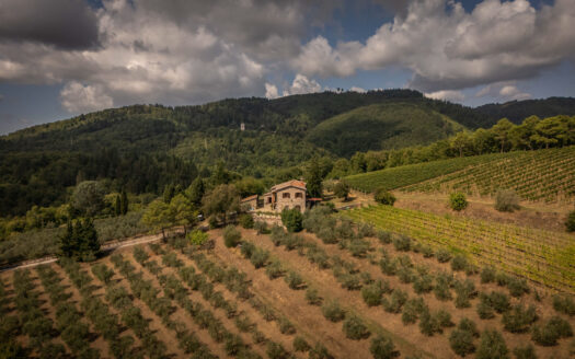 Wonderful winery in the heart of Chianti