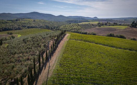Stunning wine estate in Maremma