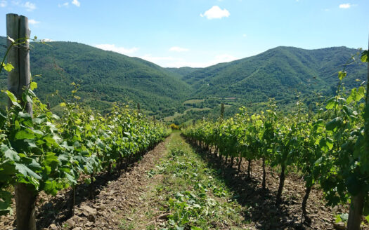 Charming 18th-century village in Cortona