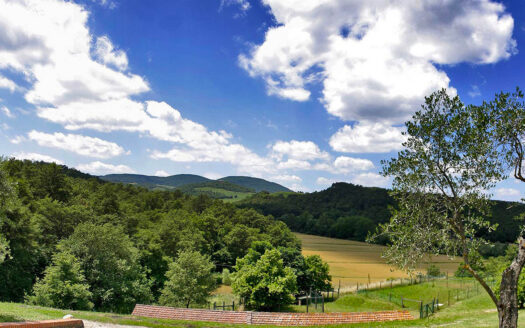 Historic villa from the 14th century