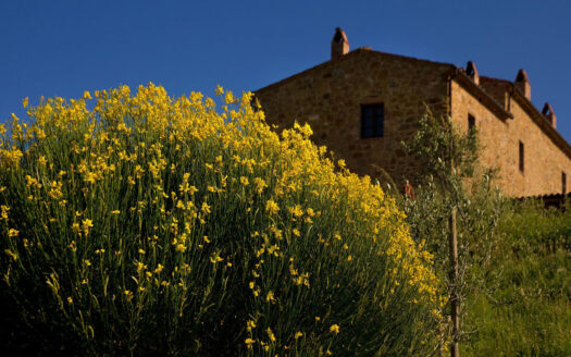 Beautiful Wine Estate for sale in the Tuscan hills